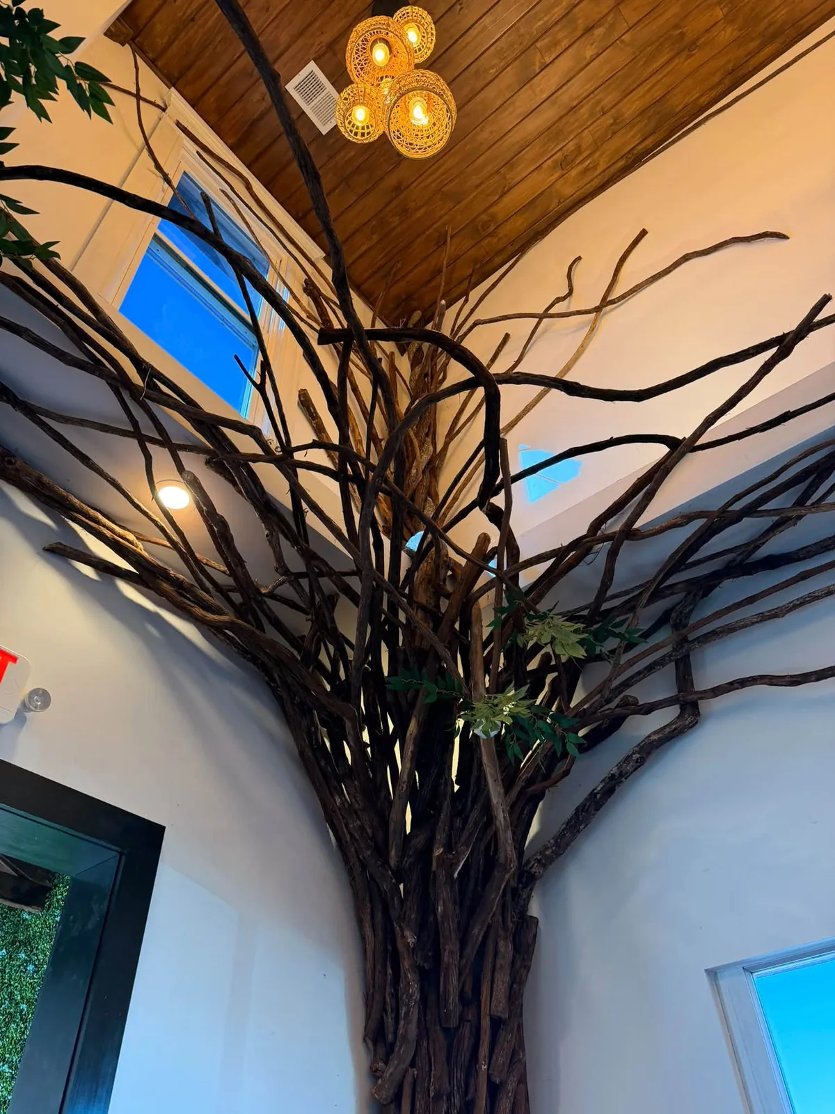 Árbol escultórico e iluminación cálida